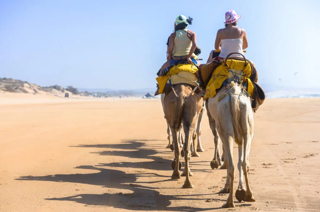 Riding on the back of a camel