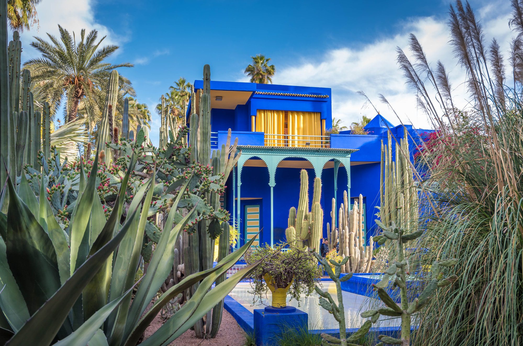 Majorelle Garden - 2 days in Marrakech