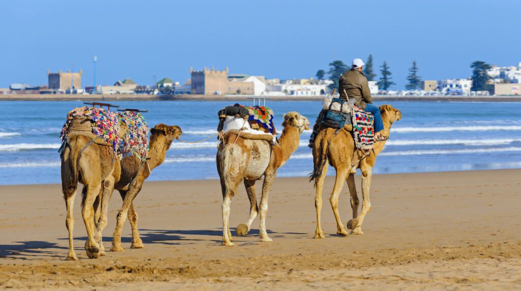 Beaches in Casablanca