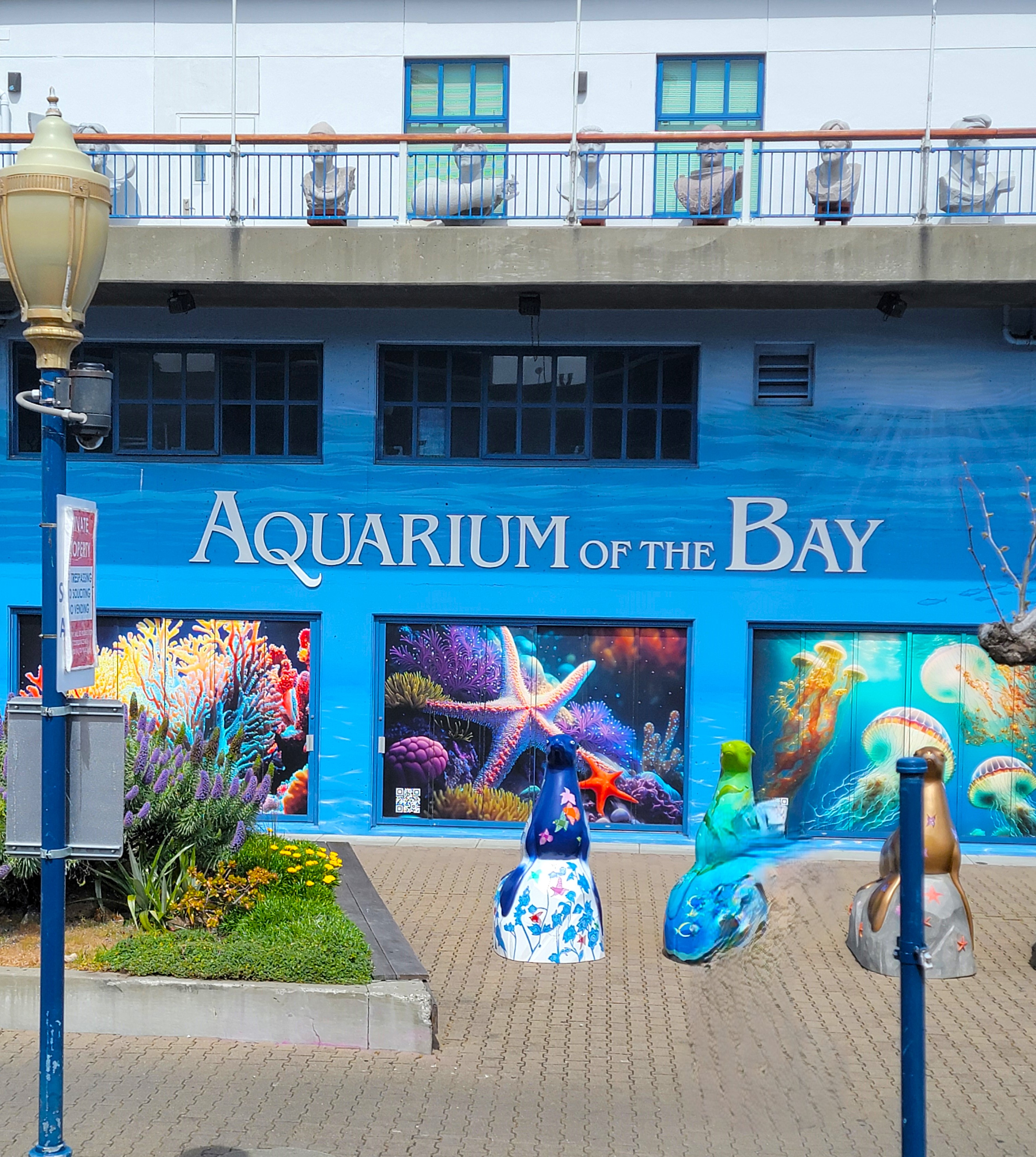 Aquarium of the Bay