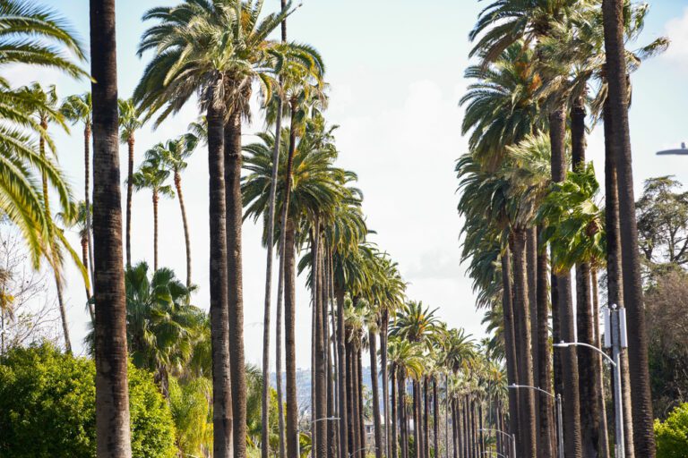 Perfect Itinerary for a 2-Day Trip to Los Angeles