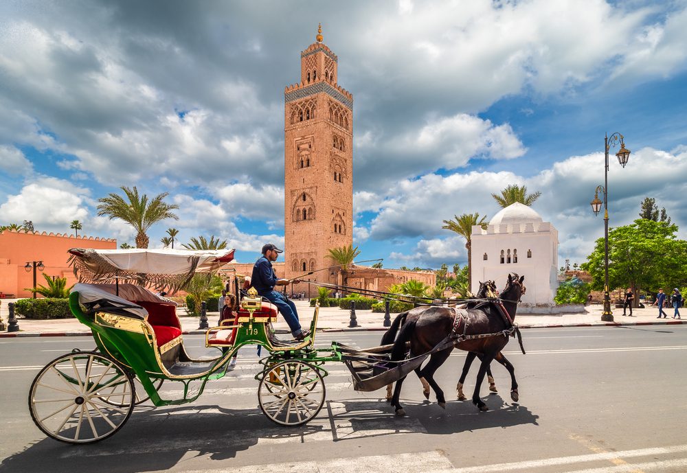 Horse carriage in Morocco