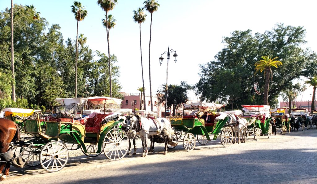 horse carriage in Marrakech